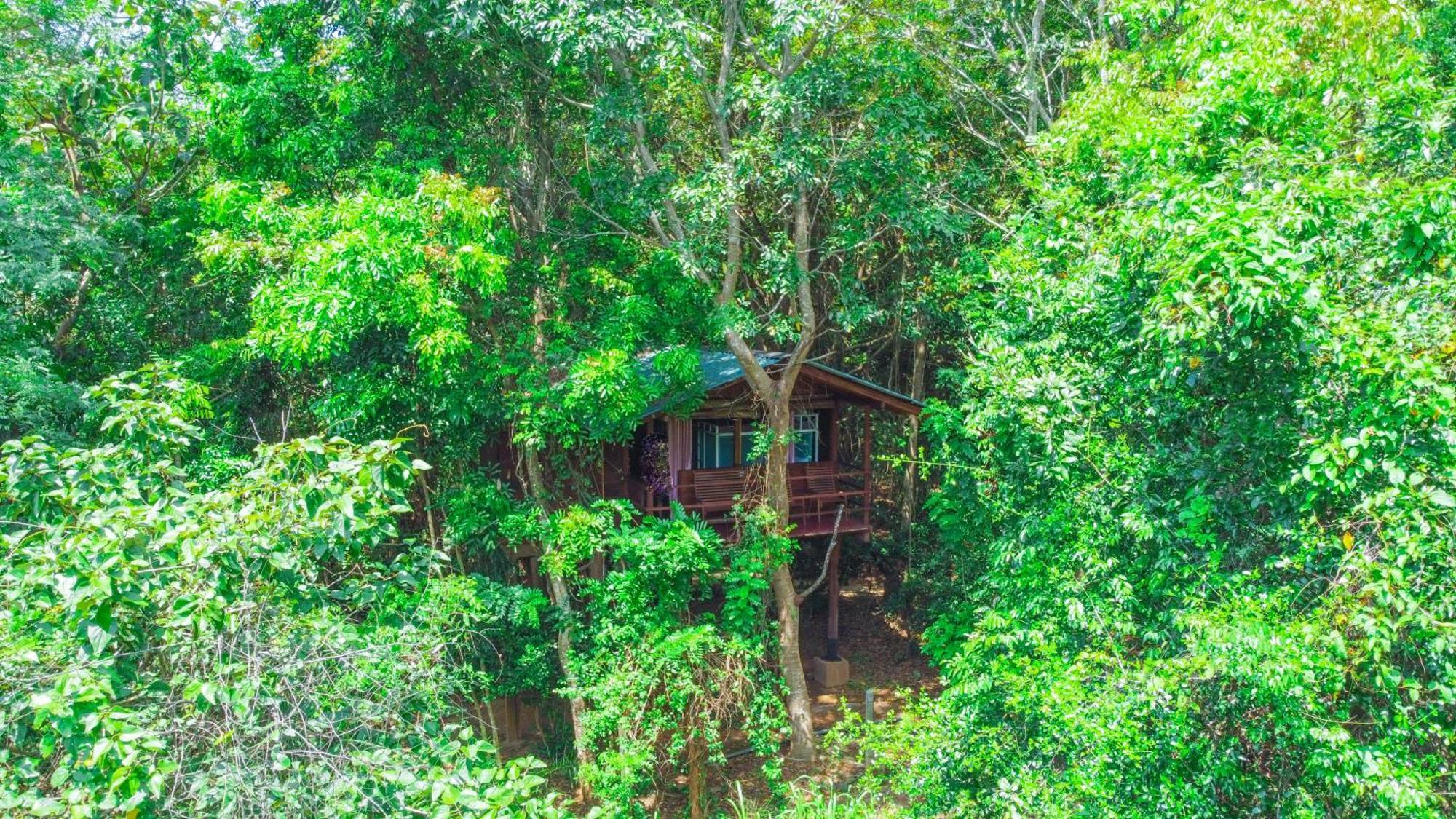 Jungle Host Hostel And Tree House Sigiriya Eksteriør billede