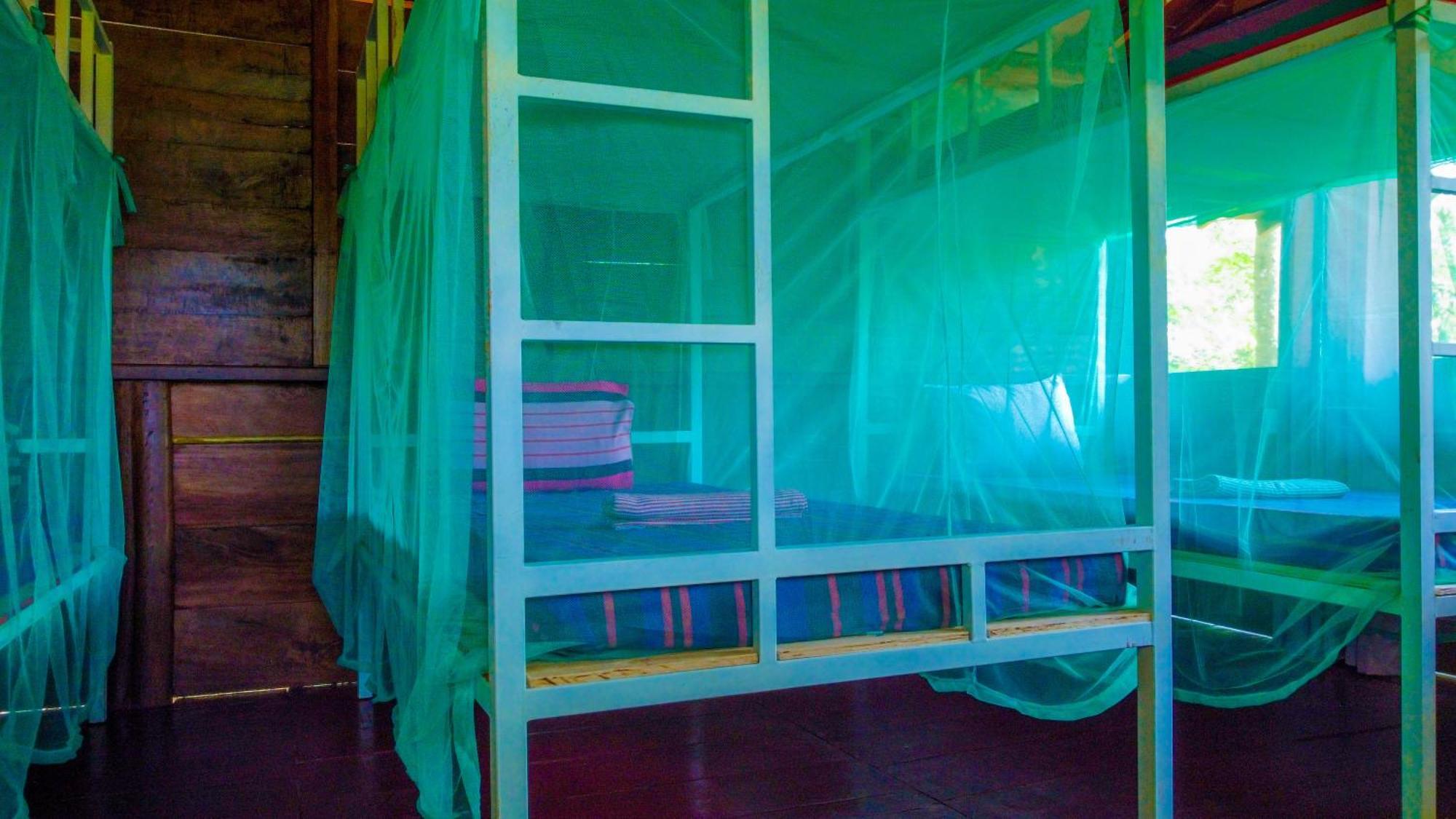 Jungle Host Hostel And Tree House Sigiriya Eksteriør billede